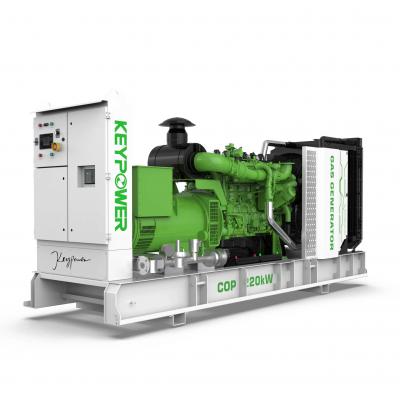 KPG-H313P 50Hz Gas Generator